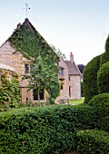 Facade of house with overgrown ivy