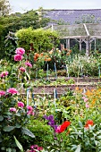 Vegetable plants and flower beds in garden