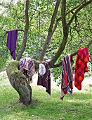 Five blankets on branches of tree