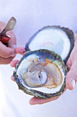 Close-up of man holding open oyster