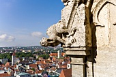 Regensburg: Aussenfassad, Dom St. Peter, Echse als Skulptur