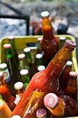 Tomatenpüree abgefüllt in Flaschen 