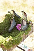 Pair of green faux leather pumps with flower on wooden box