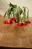 Strauß verwelkter Tulpen in rot auf einem Holztisch