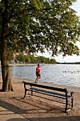 Kopenhagen: Park, Wasser, Ufer, Bäume, Bank, Mann joggt.