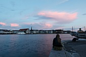 View of cityscape at dusk in Copenhagen, Denmark