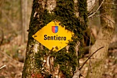 Tree with yellow board indicating path of forest in Lugano, Switzerland