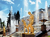 View of Peterhof Grand Cascade fountain with bronze sculptures in St. petersburg, Russia