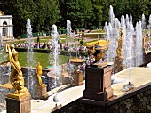 View of Peterhof Grand Cascade fountain with bronze sculptures in St. petersburg, Russia