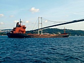 Istanbul: Containerschiff auf dem Bosporus