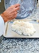 Putting cooked rice for sushi in tray for preparing tuna sushi