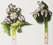 Painting of two bunches of flowers