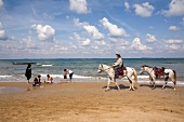 Man riding horses on beach while on vacation in Kilyos, Istanbul, Turkey