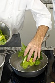 Close-up of man's hand adding lettuce to boiling water in sauce pan