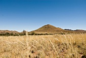 Namibia, Spreetshoogte-Pass, Landschaft, Berg, Feld