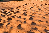 Namibia, Wüste, Sand, X