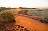 Namibia, Übergang von der Steppe zur Wüste, Sonnenuntergang