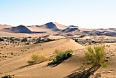 Namibia, Namib-Wüste, Sossusvlei, Dünen