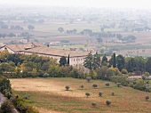 Italien, Umbrien, Landschaft, Blick über Felder und ein Landgut