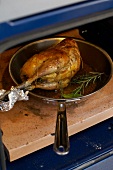 Stuffed pheasant in frying pan