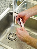 Washing red mullet with water in sink