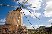 Porto Santo: Landschaft, Windmühle, Himmel bewölkt