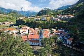 Madeira: Dorfkirche, Häuser, Berge grün.