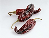 Three dried red chillies on white background, Mexico, USA