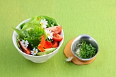 Spring herb salad in bowl