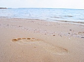 Close-up of footprint in sand at Baltic beach, Stralsund, Germany