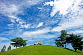 Visitors relaxing on green hill top, Wolfsburg, Germany