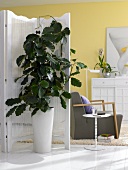 Living room with green plant against white screen made of rattan