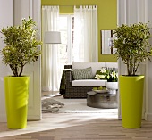 Living room with flecht sofa, aluminium coffee table and two dragon trees in yellow pots