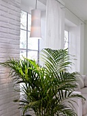 Palm tree under plant light