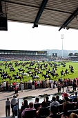View of CHIO Opening Ceremony 2009 in Aachen from grandstand, Aachen, Germany