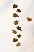Variety of green tea herb on white background