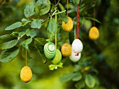 Easter eggs hanging from a branch