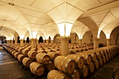 Several barrel in wine cellar, Chateau montus