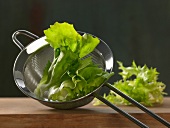 Close-up of salad leaves in colander on wooden surface