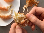 Close-up of hands cleaning crawfish, step 2