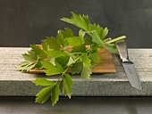 Close-up of lovage on chopping board