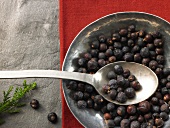 Juniper berries on spoon and plate