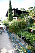 Südtirol, Meran, Café und Restaurant "Saxifraga", überwuchert von Efeu