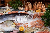 Fresh fish, lobsters and shrimps on ice