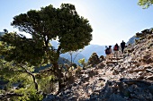 Kreta: weiße Berge, Wanderweg zum Gíngilos, Tourist