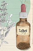 Flasche mit Salbeiöl, Illustration 