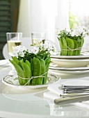 Campanula wrapped with mange tout on white plate