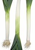 Three leeks with roots on white background