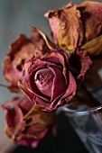 Blüten von getrockneten Rosen 