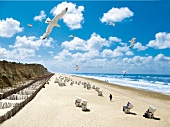 View of Kampen beach with seagull flying in sky, Sylt island, Germany